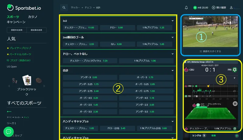 ライブベット画面