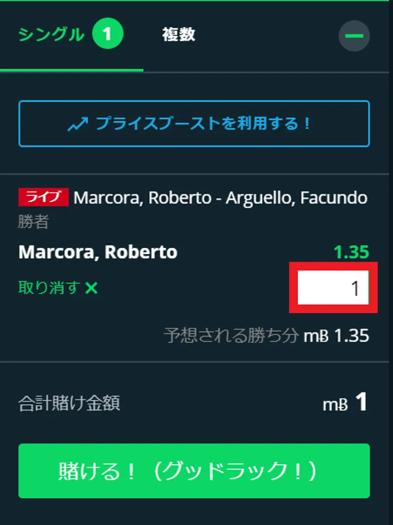 テニスの賭け方一覧